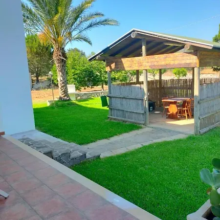 Summer's House *