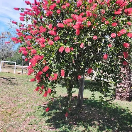 Summer's House Semesterbostad