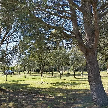 Summer's House Vakantiehuis Borgagne