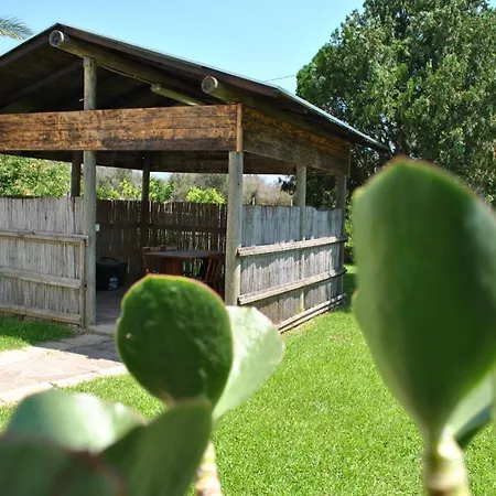 Vakantiehuis Summer's House