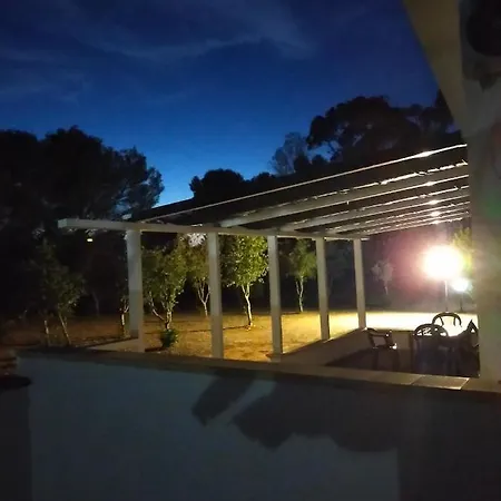 Summer's House