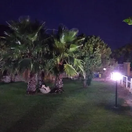 Summer's House بورغوني