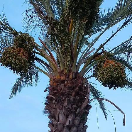 Semesterbostad Summer's House *