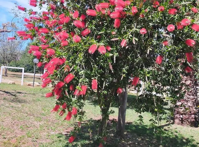 Summer's House Holiday home