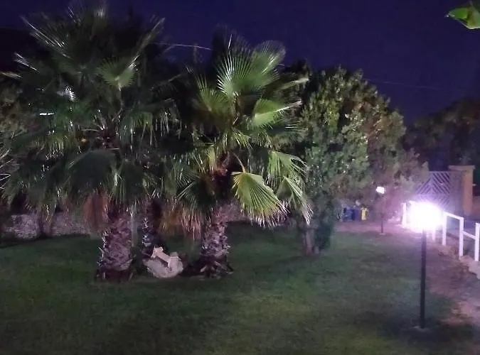 Summer's House بورغوني